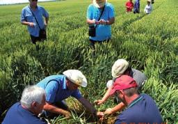 Rezultat je bio 180-200 klasova/m 2 Nakon toga, sledeća stanica je