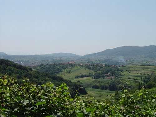 Turistički potencijali na području opštine Srebrenica Seoski turizam (agroturizam, odmor na selu) Seoski turizam podrazumjeva posjetu ili boravak turista u aktivnim