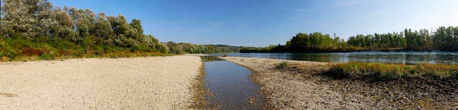 posljednja očuvana nizinska rijeka drava Rijeka Drava sa svojim rukavcima, sprudovima, poplavnim šumama i mrtvicama jedna je od posljednjih očuvanih nizinskih rijeka.