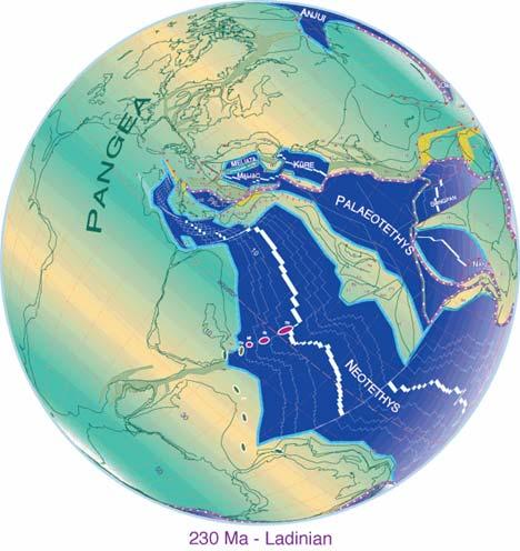Prema pojedinim autorima tokom srednjeg trijasa formira se nekoliko područja okeanske kore