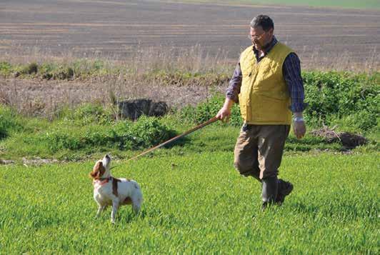 je. Započeli smo sa 6-7 godina prvo svoje školovanje, a sa dvadesetak i više upisali fakultete.