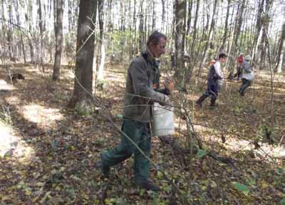 Vijestice iz podružnica Vijestice iz podružnica Vijestice iz podružnica obnovu šuma i za sjetvu u rasadniku 61.744 kg žira hrasta lužnjaka i 2.653 kg žira hrasta kitnjaka, 724,4 kg bukvice.