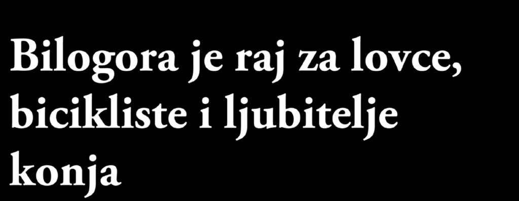 Želite li uživati u organiziranom lovu na trofejnu divljač ili samo promatrati kretanje divljači sa obližnjih osmatračnica ili čeka, šetati šumovitim bilogorskim predjelima, uživati u jahanju brojnim