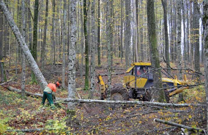 Eco Trac 120 V mehanizacija Tekst/foto: Goran Vincenc Traktor zadovoljava potrebe šumarije Zglobni traktor tvrtke Hittner, Eco Trac 120 V najveći je u seriji kupljenoj u prosincu prošle godine.