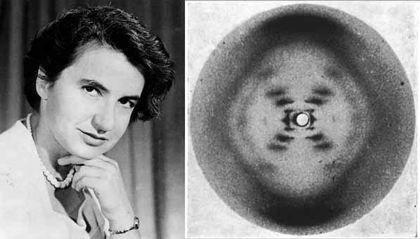 Znanstvenica Rosalind Elsie Franklin feljton Tekst: Marija Glavaš Foto: arhiv Kontroverzno otkriće DNK 60 godina poslije Rosalind Elsie Franklin bila je britanska znanstvenica židovskog podrijetla