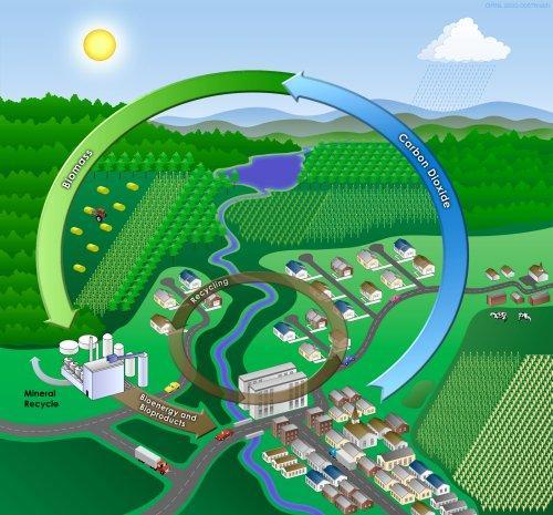 biomasa prođe, od drvnog ostatka do toplotne ili električne energije u kući, kako je prikazano na slici 3. Slika 3: Lanac biomase (Izvor: www.balkanmagazin.