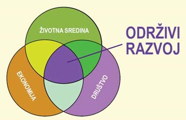 vrijednosti i okolišna komponenta očuvanje svih komponenti okoliša kao prirodnog dobra o kojem ovise sadašnje i buduće generacije. Razlikujemo koncept slabe i jake održivosti.