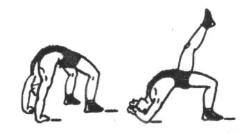 Vježbe hrvačkog mosta jačaju mišiće (vrata, trupa, nogu), razvijaju