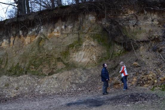 Biljna vrsta koja stvara treset je mah tresetar (Sphagnum sp. L.). Uzrok stvaranja treseta je smanjena količina kisika i kiselost tla pa se kao rezultat pojavljuje nerazgrađeni biljni materijal, tj.