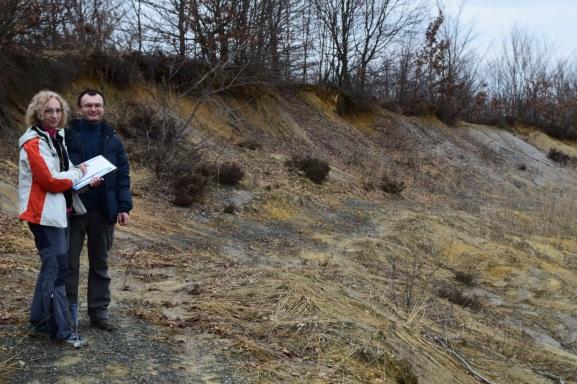 Radi se o naslagama gornjega pliocena u jezgri sinklinale protezanja Veliko Trgovišće Brezina (Slovenija).