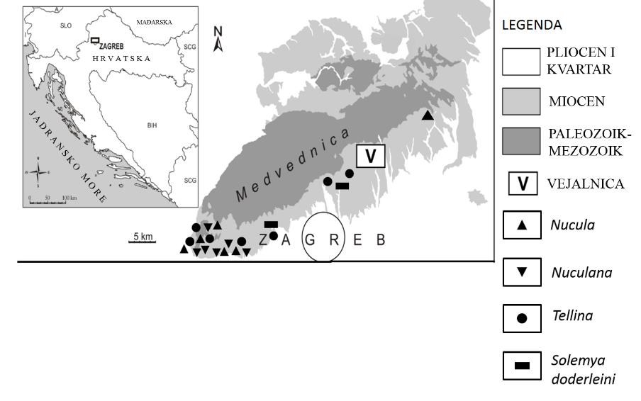 4.3. PALEOEKOLOGIJA I PALEOBIOGEOGRAFIJA Nađeni planktonski organizmi (nanoplankton, foraminifere i puževi) u uzorcima upućuju na to da su sedimenti lokaliteta taloženi u otvorenom morskom bazenu.