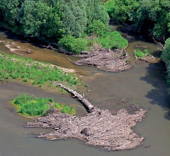 48 Uvod Preventivnu zaštitu područja rijeka Mure i Drave u kategoriji - Regionalni park, Ministarstvo kulture je proglasilo 04. veljače 2008.
