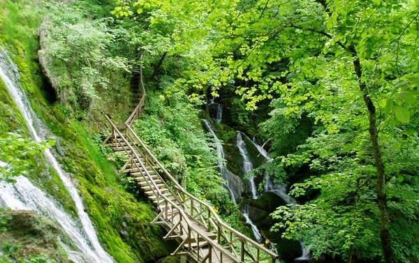 1.PARK ŠUMA JANKOVAC Jankovac je gorska dolina smještena na sjevernim obroncima Papuka, na 475 metara nadmorske visine. Rasprostire se u dvije gospodarske jedinice, i to G.J. Drenovačka planina, odjel 1-7 i 13-16, te G.