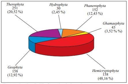 13,65 % od ukupnoga broja vrsta. Od toga zabilježeno je 21 vrsta četinjača i 146 vrsta listača. Autohtone vrste su zastupljene s oko 94 % u ukupnom broju zabilježenih vrsta.
