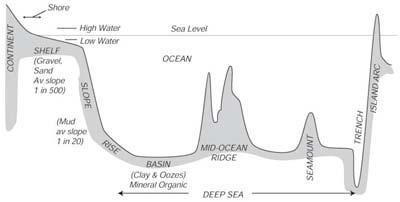 Abisalna ravnica 78% morskog dna (2/5 ukupne Zemljine površine); do