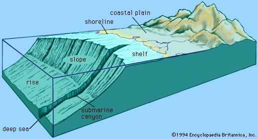 km) Kontinentalna podina (šelf) 7% morskog dna; do 200 m dubine;
