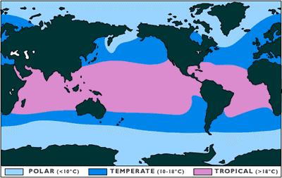 Klasifikacija na temelju površinske temperature Polarna mora: uvijek < 5 o C Subpolarna mora: uvijek < 10 o C; najčešće < 8 o C Umjerena mora: