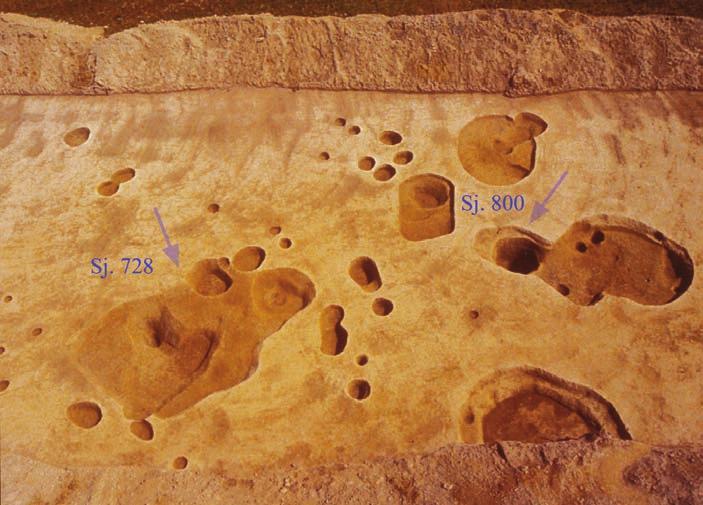 Saša KOVAČEVIĆ & Tomislav HRŠAK prilog poznavanju NASElJENOSTi ViROViTiČKE podr AViNE... Opusc. archaeol. 34, 2010, 37-113. Slika 6.