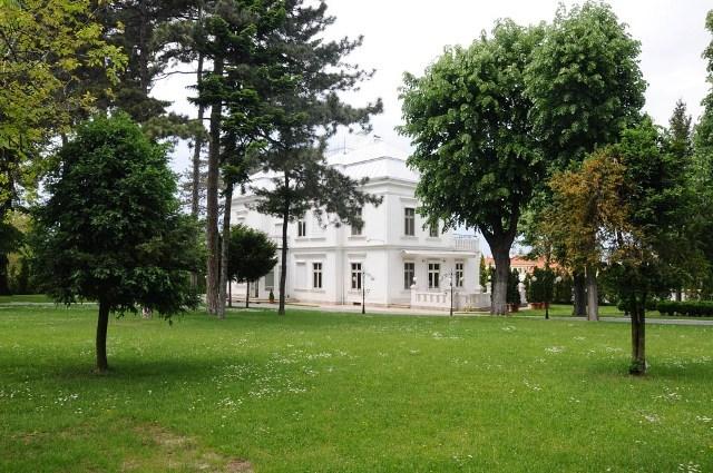 Senjak je pre svega Beogradu poznat po širokim zelenim površinama i šumama u okruženju.