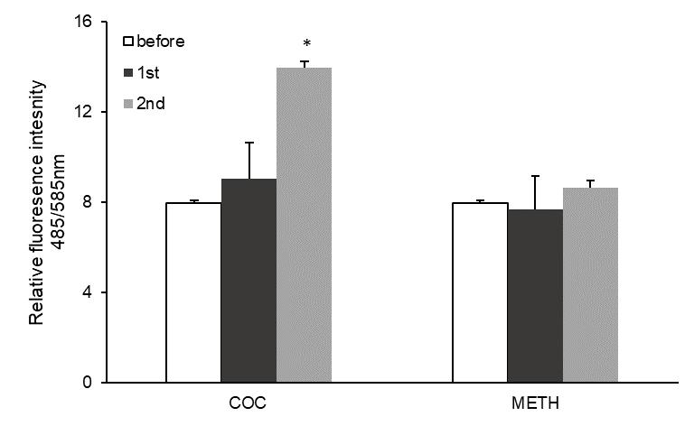 Figure 40. vcoc and vmeth lead to different induction of ROS production.