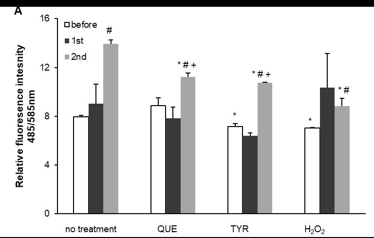 administration. All this suggests that vmeth leads to lower exogenous redox perturbation compared to vcoc. It is unexpected that pro- and antioxidants have similar effects on ROS. Figure 45.