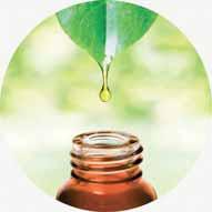 Protuupalno djelovanje ulja australijskog čajevca pomaže u rješavanju manjih kožnih problema, naročito kod kože sklone aknama.