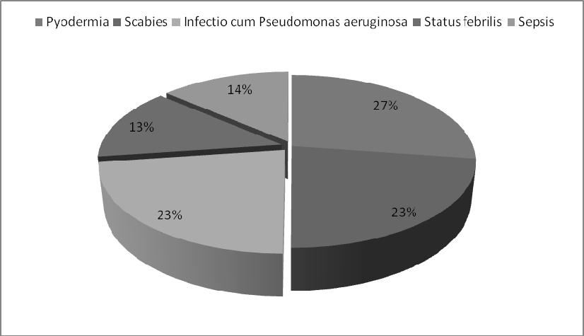 ЗДРАВСТВЕНА ЗАШТИТА 4/2014 Графикон 5. Епидемије БИ на подручју Београда 2004 2013, оболевање у епидемијама БИ из групе осталих заразних болести.