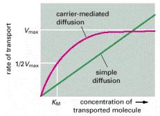 Prednosti olakšane difuzije nad jednostavnom difuzijom (putem prenositelja pasivan prijenos) Pri jednostavnoj difuziji s porastom koncentracije molekula linearno raste i brzina njihova unosa u