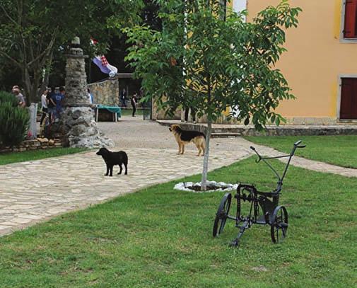 Imam dvije starije sestre koje su tada živjele u Zagrebu i koje su mi uvijek htjele pomoći i bile su mi blizu, ali ja sam sve više tonuo u svoju ovisnost i živio u samoći.