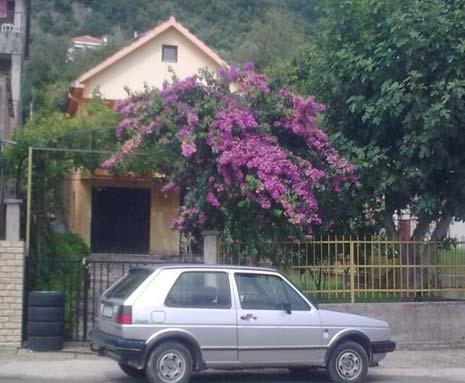 Herceg Novi, prema listu nepokretnosti prepis broj 7, izdatim od