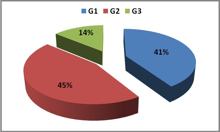 Distribucija tumora prema veličini Najviše tumora pripadalo je G1 (41%) i G2 (45%)