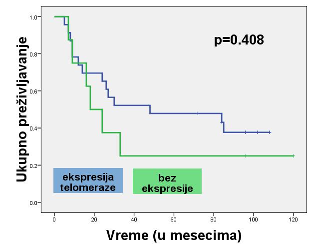 Iako se ekspresija telomeraze nije odrazila na ukupno preživljavanje pacijenata sa OPCK (p=0.