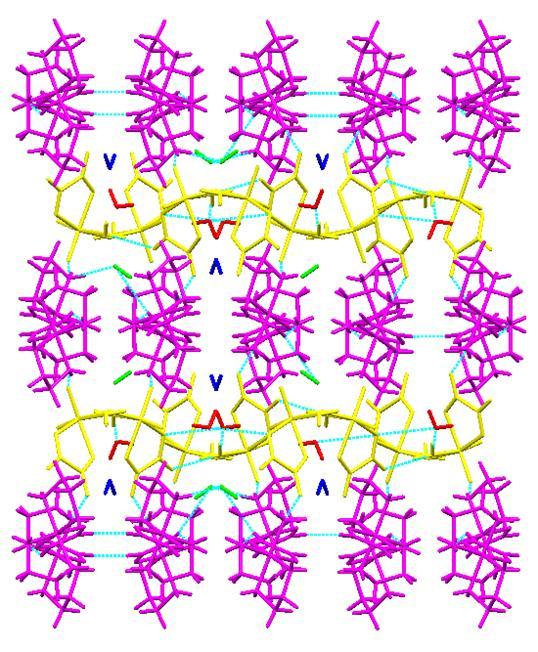 Razlike u supramolekulskom povezivanju meċu solvatima nisu toliko uoĉljive u njihovom pakiranju, s obzirom da u objema strukturama molekule se pakiraju u slojeve (Slika 16. I 17.).