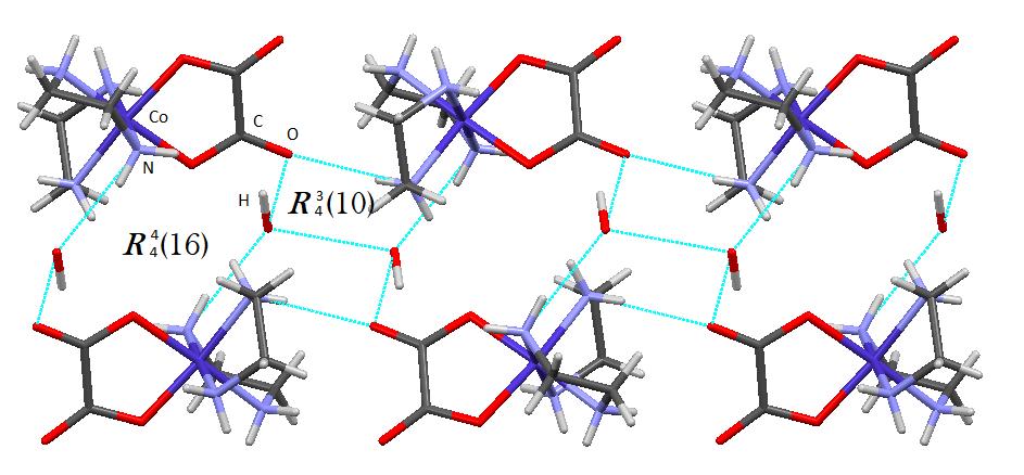 Slika 18. Mreţa vodikovih veza molekula vode u kristalnoj strukturi kompleksa 4b Slika 19.