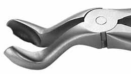 Maksilarni premolari desni i lijevi 304 kn+pdv Inovativni čelik Spring Steel te patentirani dizajn osiguravaju: Izvoran oblik instrumenta Izvrstan rez