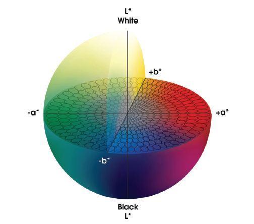 Moderniju inaĉicu Munsellovog sustava predstavlja L*C*h trodimenzionalni koordinatni sustav. Koordinata L* oznaĉava svjetlinu (eng.