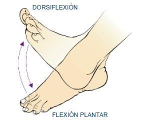 Dodatno, razmotrite fleksiju i ispruživanje stopala u gležnju. SLIKA 12 Vježba fleksibilnosti 6.