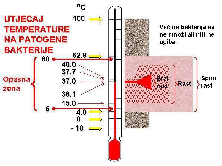 Slika 1. Utjecaj temperature na razvoj patogenih bakterija Izvor: HACCP vodič za ugostitelje,izdanje I,Hrvatska obrnička komora, 2009., str.