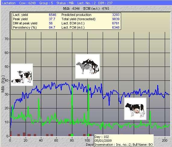 Efikasnost otkrivanja krava u estrusu putem Afi izvještaja za estrus Pregnancy Effective