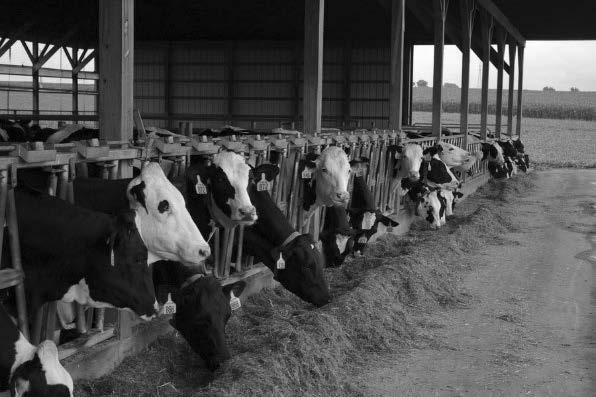 KAKO SAČUVATI ZDRAVLJE ŽIVOTINJA I PROIZVODNJU? prof. dr. sc. Marcela Šperanda Zahtjevi za proizvođače mlijeka i mesa sve su veći.