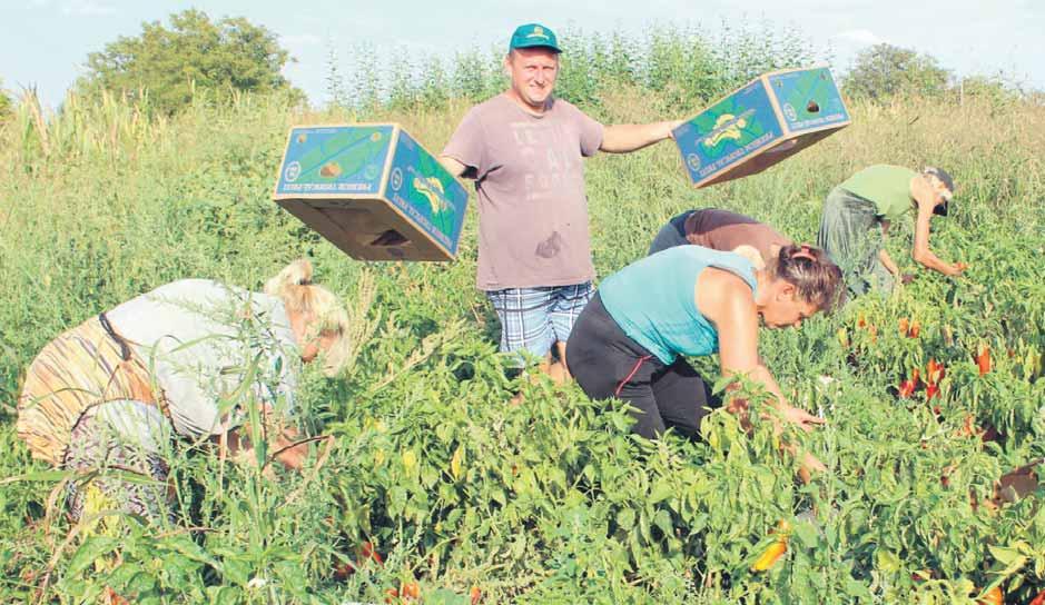 Hrvatska blokada do`ivjela fijasko Od svih do brih op ci ja do go vo re na je naj boqa. To zna ~i da ne ma bi lo ka kvih ne ca rin skih ba ri je ra i blo ka da, ka zao [a ro vi}.