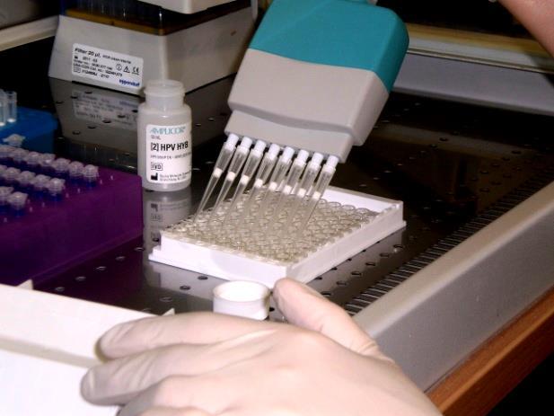 pomoću PCR reakcije otkriva 13 visokorizičnih