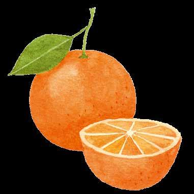 Organski Aprotie Organski aprotie sadrži tečnost organske pomorandže, umesto običnu vodu, koja je bogata hranljivim sastojcima, vitaminima i mineralima pogodnim za negu kože.