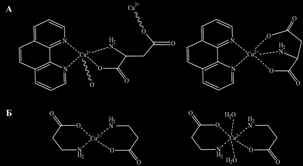 структура великог броја комплекса са аминокиселинама с почетком још од средине XX века до данас [30].
