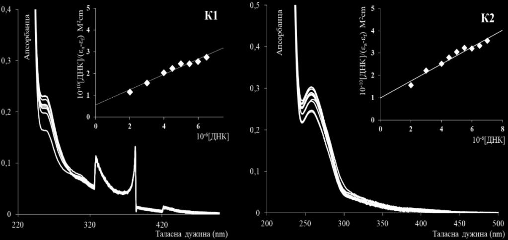 UV-Vis апсорпциони спектри Криве титрације за К1 и К2 у присуству СТ-ДНК или НТ-ДНК у различитим концентрацијама су дате на слици 21.