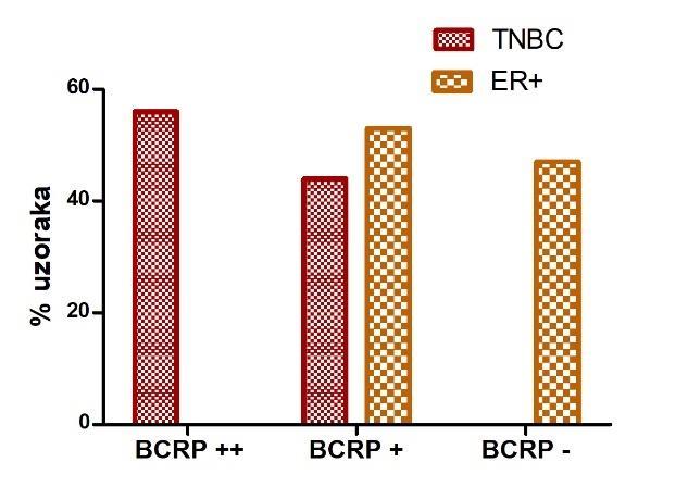 Slika 4.16. Ekspresija BCRP i MRP1 proteina u zdravom tkivu dojke.
