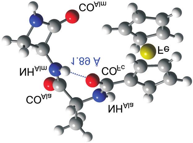 84 V. APIÆ i M. KVAÈEVIÆ: III. rganometalna i bioorganometalna kemija ferocenski peptidi, Kem. Ind.