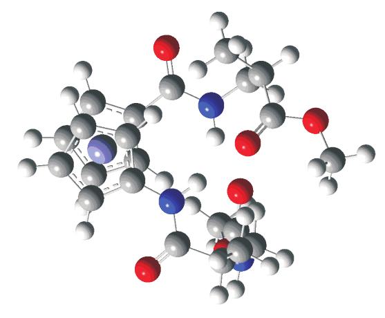 116 V. APIÆ i M. KVAÈEVIÆ: III. rganometalna i bioorganometalna kemija ferocenski peptidi, Kem. Ind.