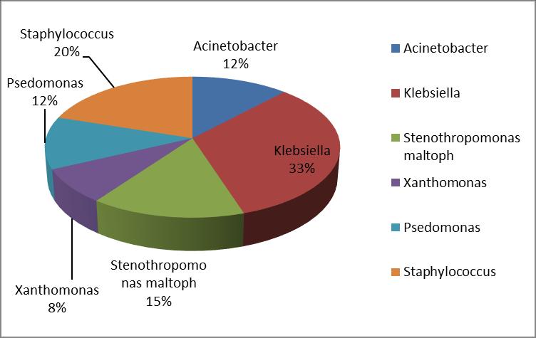 Након завршене механичке вентилације, из узорка тубуса урађена бактериологија указује на доминацију Г- бактерија (највише Klebsiella 33%). Овај и остали подаци дати су графиконом 6.