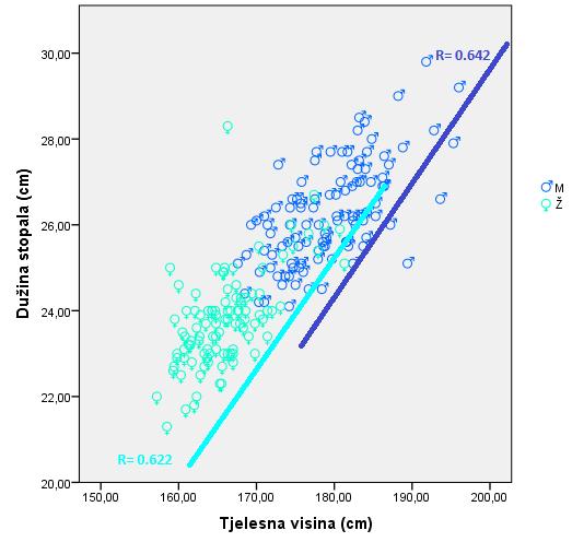 U grafikonu 47. prikazana je pozitivna linearna povezanost između tjelesne visine i dužine stopala kod adolescentske populacije u regionu Uroševca, za oba pola. Grafikon 47.
